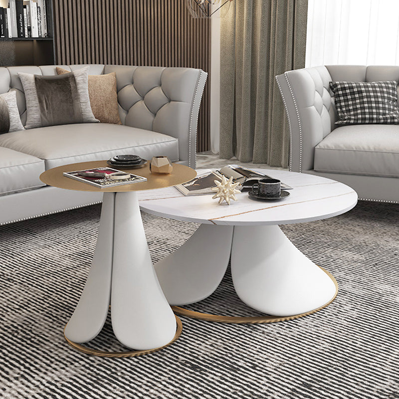 Brescia  Solid Wood Coffee Table 31.3&