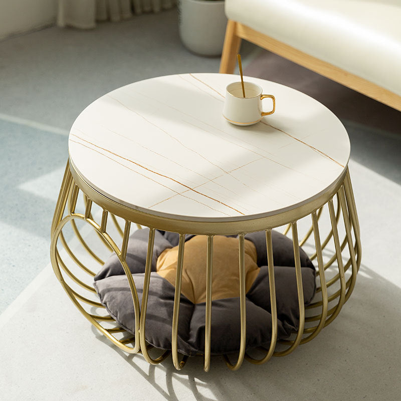 Elba Tempered Glass Pet Table 21.65"D
