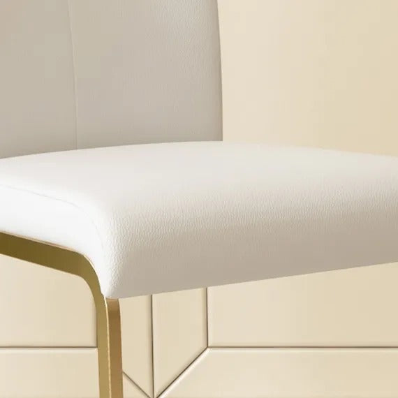 Gioia Tauro Leather Dining Chair 15.75"D (With 2 Chairs)